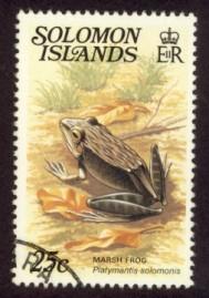 Solomon Islands Sc# 406 U Marsh Frog