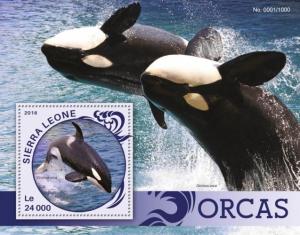 SIERRA LEONE 2016 SHEET ORCAS WHALES MARINE LIFE srl16107b