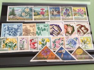 Mongolia Plants Flowers & Fungi cancelled stamps Ref A9106