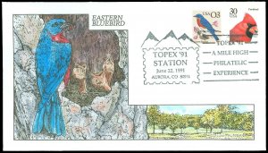1991 COLLINS HAND PAINTED FDC, Eastern Bluebird, Flora & Fauna Series, #2478, 80
