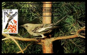 #2330 Mockingbird - MAXICARD - North American Wildlife Capex Series