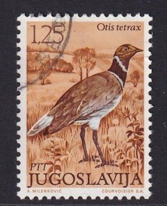 Yugoslavia   #1103  used 1972  birds 1.25d