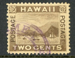 USA 1894 Hawaii 2¢ Brown Honolulu Scott #75 Small Town Cancel S582