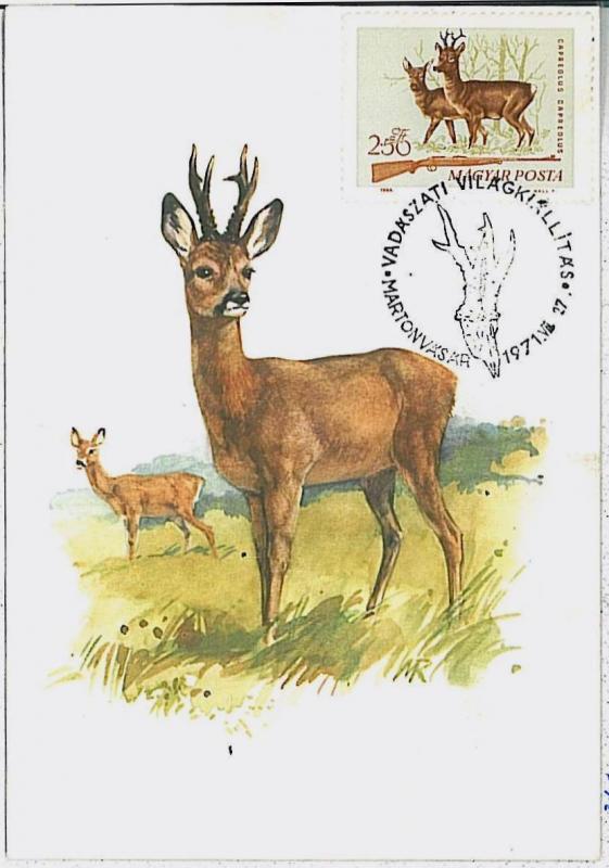 MAXIMUM CARD - POSTAL HISTORY -  Hungary: Deer, Hunting, Fauna, 1971