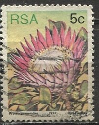 South Africa; 1977: Sc. # 479a: Perf. 14, Used Single stamp