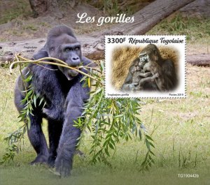 Togo 2019 MNH Wild Animals Stamps Gorillas Western Lowland Gorilla 1v S/S