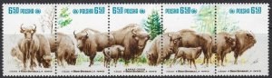 Poland 2471 MNH strip of 5 1981 Bison (SS)(ad4509)