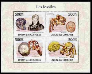 Comoro Islands 2010 Fossils perf sheetlet containing 4 va...