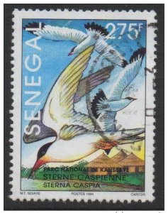 Senegal 1994 Sterne Caspian Kalissaye Bird Bird Yv. 1109 RARE-