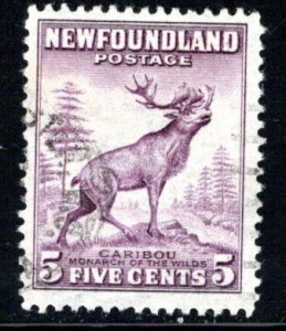 Newfoundland Scott # 191, used