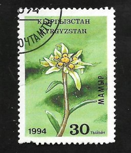 Kyrgyzstan 1994 - FDC - Scott #38