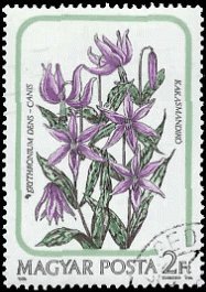 HUNGARY   #2956 USED (6)