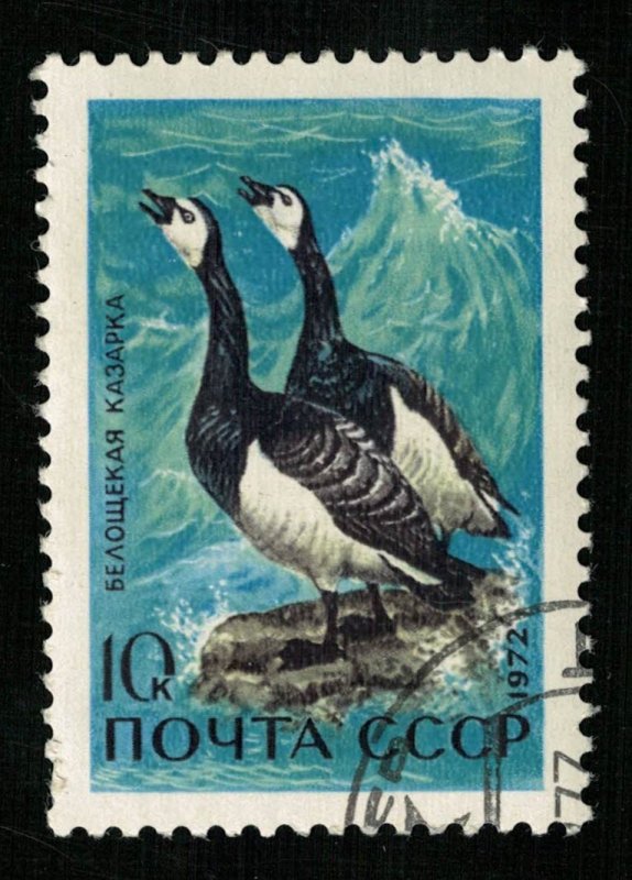 Bird, USSR, (TS-226)