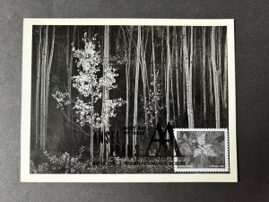 Ansel Adams 2024 FDC Maxicard Maximum Postcard Aspens Northern New Mexico 1958