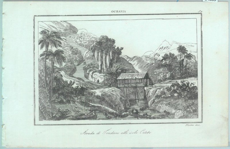 84885 - INDONESIA  - VINTAGE Italian Engraving - 1830