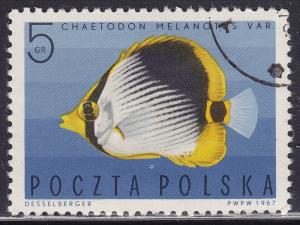 Poland 1492 Striped Butterfly Fish 1967