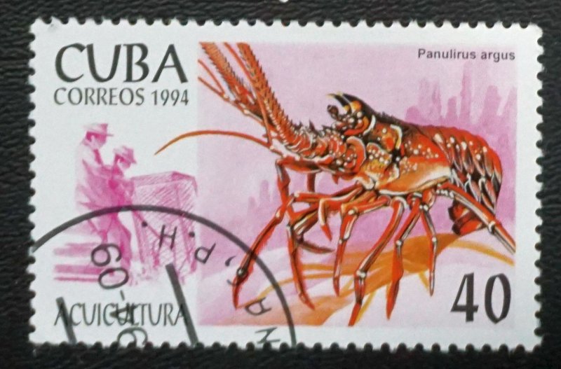 CUBA Sc# 3575 MARINE LIFE fish ocean sea 40c 1994  used / cto