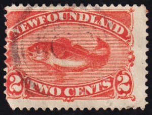 Newfoundland Scott 48 (1887) Used F-G, CV $9.50 C
