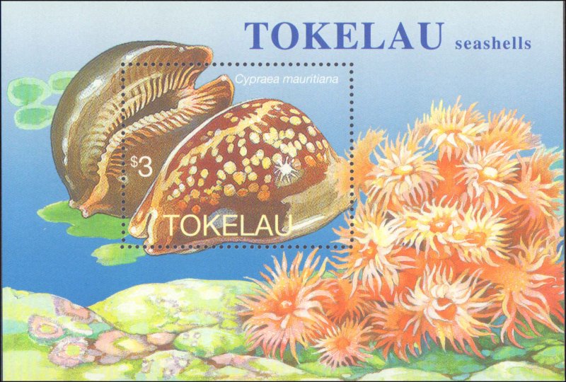 Tokelau #232-236, Complete Set(5), 1996, Seashells, Never Hinged