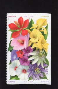4750-4754 La Florida Flowers, MNH blk/4
