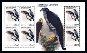 [93378] Guyana 2010 Birds Vögel Oiseaux Northern Goshawk Sheet MNH