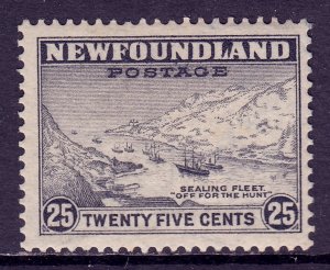 Newfoundland - Scott #197 - MH - SCV $2.75