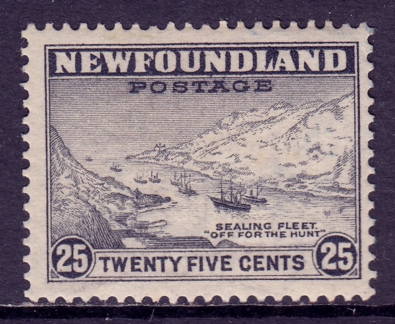 Newfoundland - Scott #197 - MH - SCV $2.75