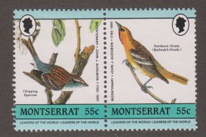 Montserrat 582 Audubon Birth Bicentenary 1985