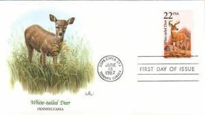 #2317 White-tailed Deer Fleetwood FDC