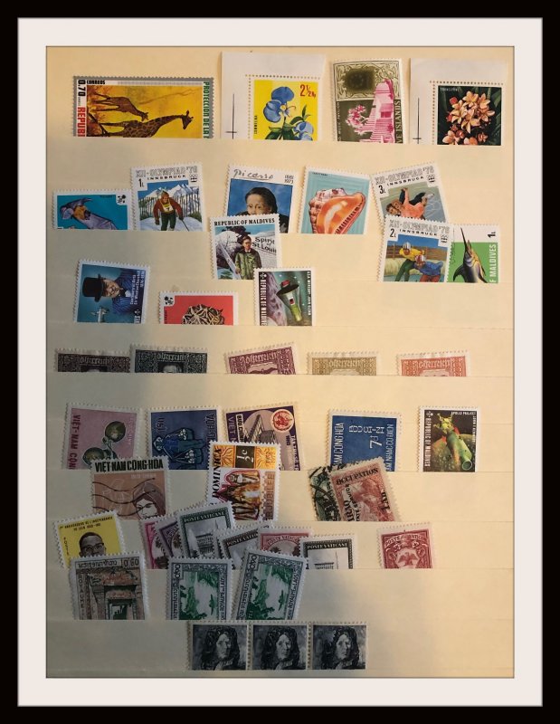 Medium Size Foreign Accumulation