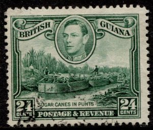 British Guiana #234 KGVI Definitive Used CV0.30