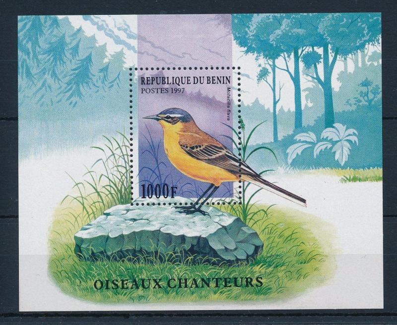 [30967] Benin 1997 Birds Vögel Oiseaux Ucelli   MNH Sheet