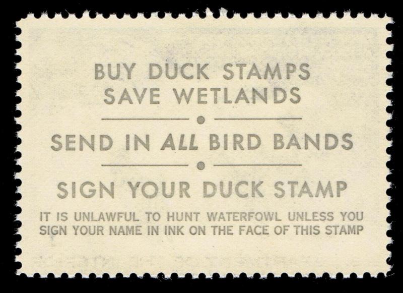 GENUINE SCOTT #RW44 XF-SUP MINT PRISTNE OG NH 1977 DUCK STAMP - ESTATE CLOSEOUT