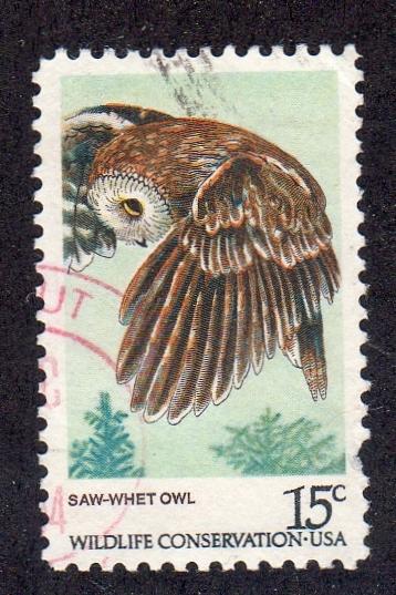 United States 1761 - Used - Saw-whet Owl (Bird)