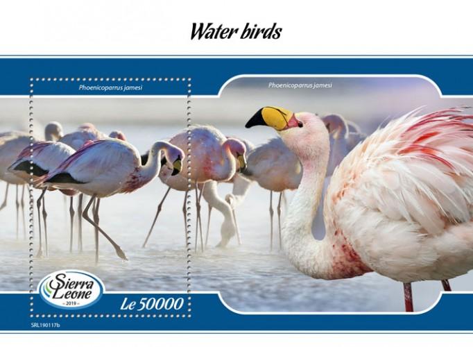 SIERRA LEONE - 2019 - Water Birds - Perf Souv Sheet - MNH