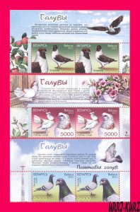 BELARUS 2011 Nature Fauna Birds Pigeons Doves 3 pairs Sc789-791 Mi880-882 MNH