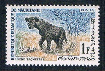 Mauritania 135 MLH Spotted hyena (BP10420)