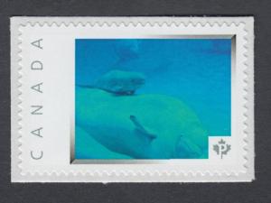 BELUGA WHALE = MARINE LIFE = Picture Postage stamp MNH Canada 2014 [p76ml4/1]