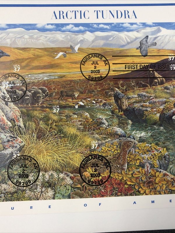 US First Day Cover 3802 Arctic Tundra Full Sheet Large Envelope