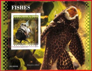 A4528 - SIERRA LEONE - ERROR MISPERF, Souvenir sheet: 2019, Fish, Marine Life