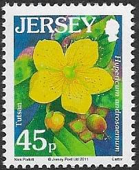 Jersey # 1270a - Flowers - Tutsan - 2011 - MNH