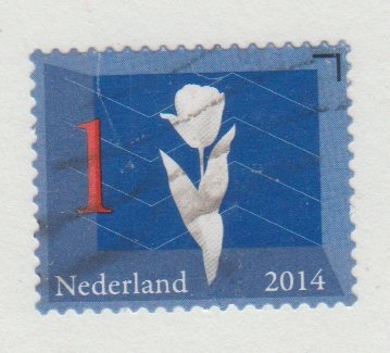 3201 Tulip