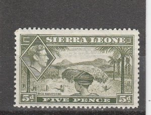 Sierra Leone  Scott#  179  MH  (1938 Rice Harvesting)