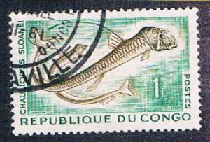 Congo PR 97 Used Sloans Viperfish (BP3916)