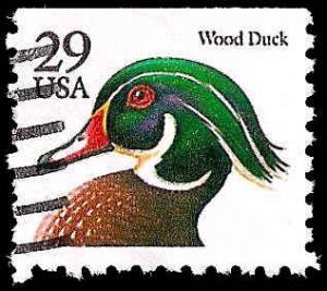 # 2484 USED WOOD DUCK