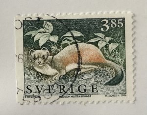 Sweden 1992-2009 Scott 1924 used - 3.85k,  Wild animals, Mustela ermina