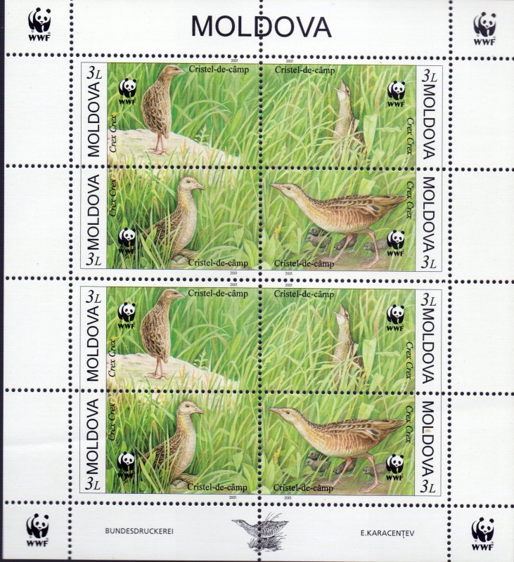 Moldova. 2001. Small sheet 379-82. Fauna bird. MNH. 