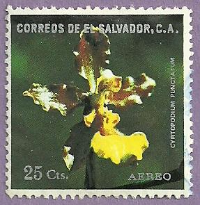 El Salvador Used Stamp Scott C378