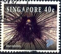 Marine Life, Sea Urchin, Singapore stamp SC#679 used