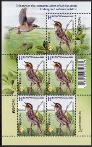 BELARUS 2021 EUROPA CEPT BIRD WILD ANIMALS FULL SHEET